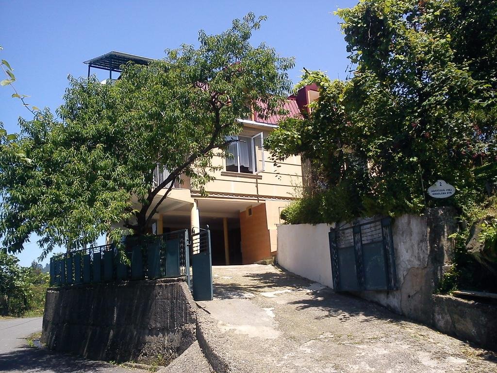 Bagrationi's House